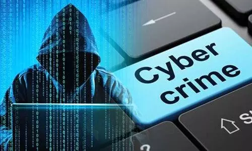 Cyber ​​Crime: Law and Punishment.